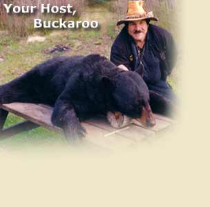 Black Bear Hunting Host Buckaroo